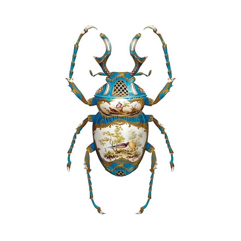 Magnus Gjoen, ‘Sevres Dicranocephalus Wallichii’, 31-10-2017, Print, Pigment print on 308gsm cotton rag, The Wallace Collection, Numbered