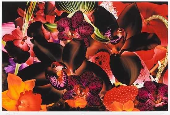 Marc Quinn, ‘Helix Nebula’, 07-11-2013, Print, Archival pigment print on 300gsm Somerset Photo paper, White Cube, Numbered