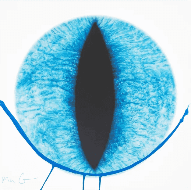 Marc Quinn, ‘Spectrum of Sentience (Balinese)’, 2023, Print, Pigment print and acrylic on 300gsm Somerset Photo paper, null, Numbered
