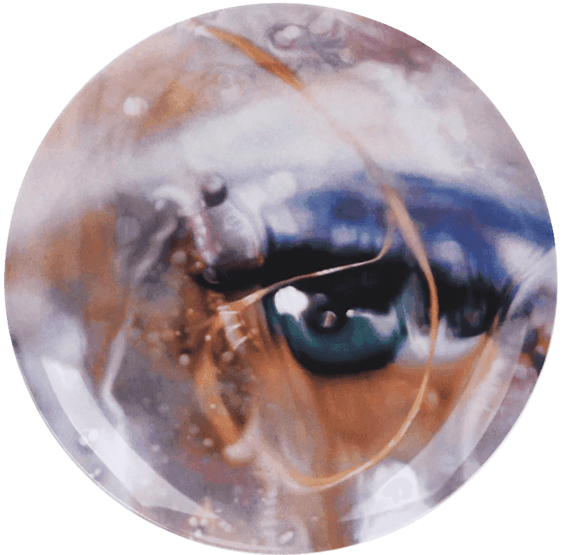 Marilyn Minter, ‘Blue Note’, 2020, Print, Fine bone china, null, 