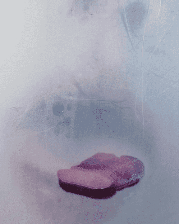 Marilyn Minter, ‘Spray On I’, 2023, Print, UV cured acrylic polymer on aluminum, mounted on aluminum tube bracing, Carolina Nitsch Contemporary Art, Numbered, Dated