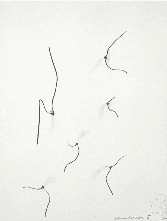 Marina Abramovic, ‘Untitled (Homage aan Jan Hoet)’, 2004, Print, Lithography, null, 
