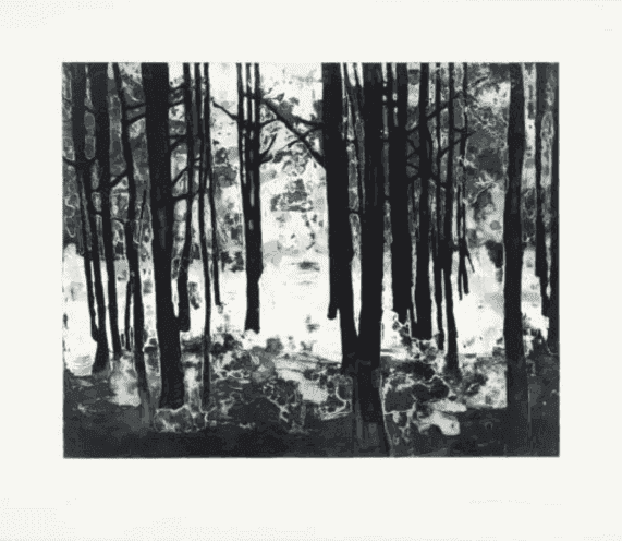 Matt Saunders, ‘Landscape III (Bright Forest)’, 2015, Print, Open bite, Soap ground aquatint, Soft ground etching, Spit bite aquatint, Sugar lift aquatint on Hahnemühle Bütten 350g, null, Numbered