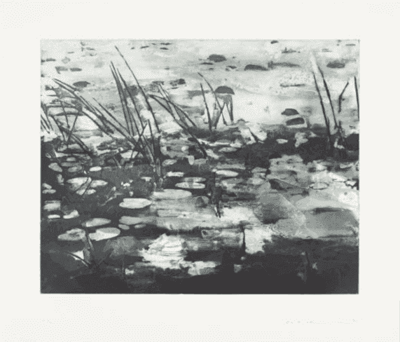 Matt Saunders, ‘Landscape I (Swamp)’, 2015, Print, Open bite, Soap ground aquatint, Soft ground etching, Spit bite aquatint, Sugar lift aquatint on Hahnemühle Bütten 350g, null, Numbered