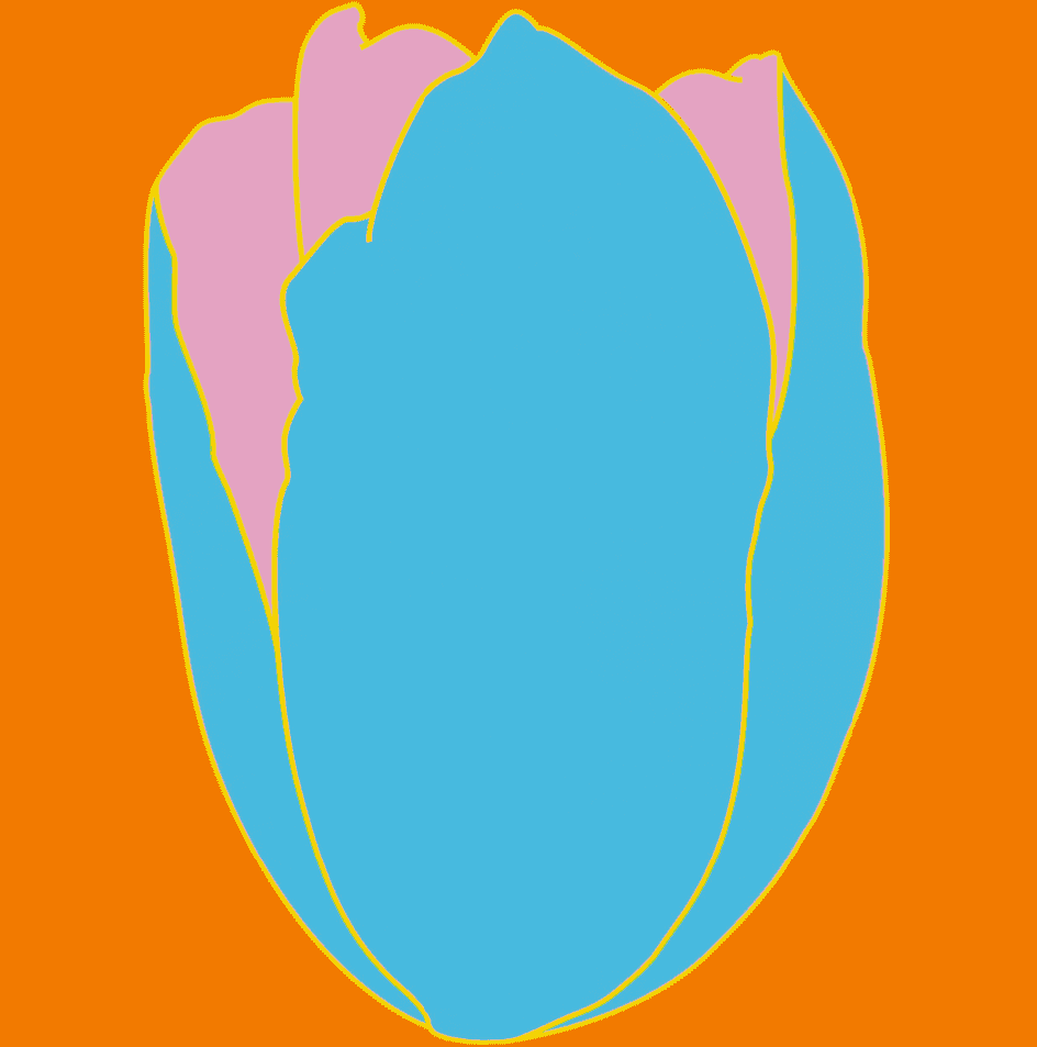 Michael Craig-Martin, ‘Flowers - Tulip’, 2023, Print, Screenprint on Somerset Satin White 410gsm paper, null, Numbered, Dated