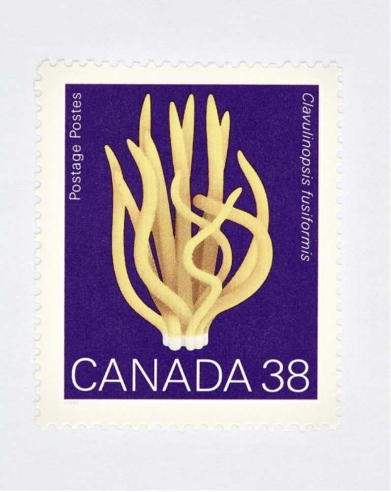 Peter Andrew Lusztyk, ‘Canada 38 Mushroom Stamp (Purple)’, 2021, Print, Digital C-Print / Archival Pigment Print, null, 
