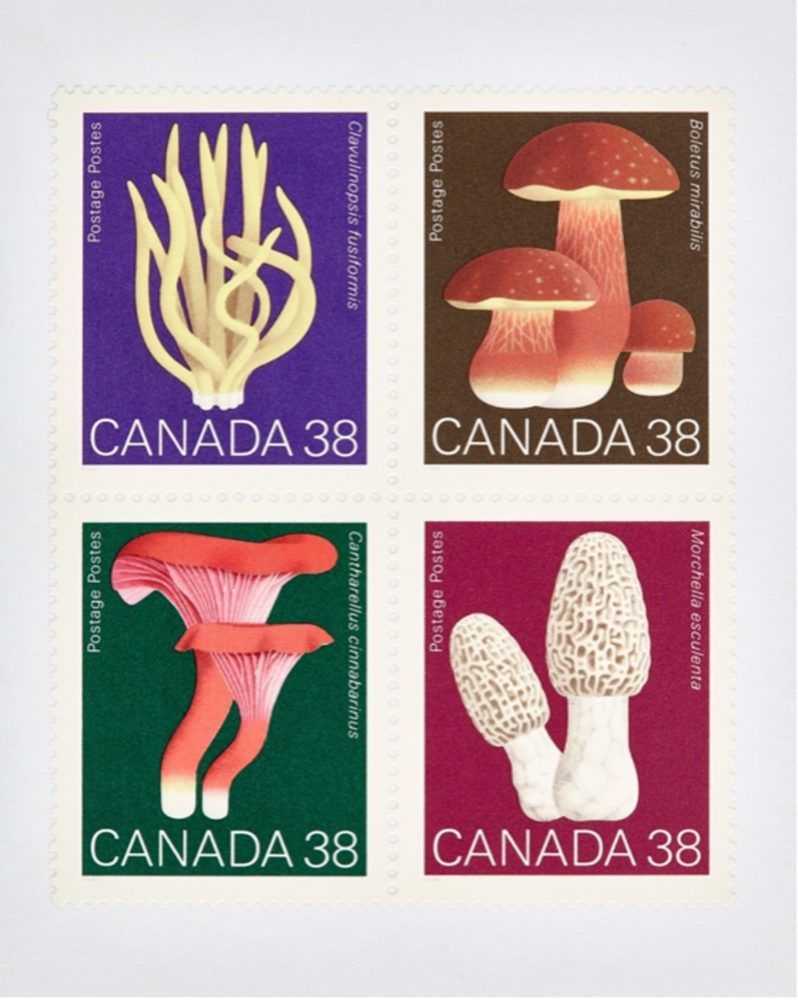 Peter Andrew Lusztyk, ‘Canada Mushroom 38 x 4’, 2021, Print, Digital C-Print / Archival Pigment Print, null, 