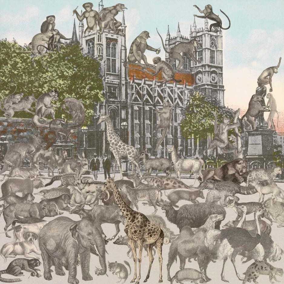 Peter Blake, ‘London Westminster Abbey - Animalia’, 2012, Print, Silkscreen print on 410gsm Somerset Tub Sized, Paul Stolper Gallery, Numbered