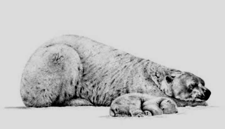 Peter Hildick, ‘Forty Winks’, 2023, Print, Lithograph print, Castle Fine Art, Numbered