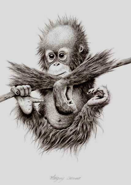 Peter Hildick, ‘Hanging Around’, 2002, Print, Lithograph print, Castle Fine Art, Numbered