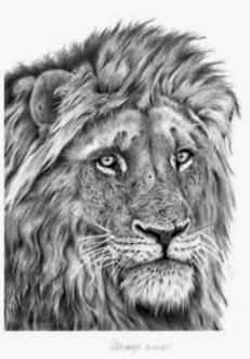 Peter Hildick, ‘Okavango Warrior’, 2002, Print, Lithograph print, Castle Fine Art, Numbered
