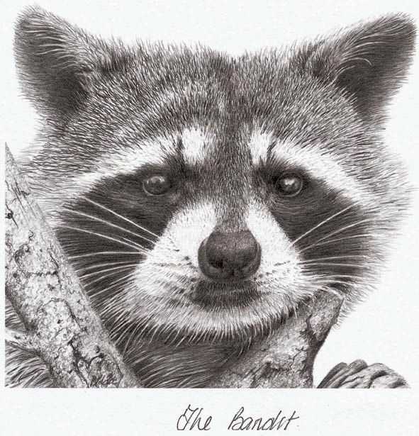 Peter Hildick, ‘The Bandit’, 2002, Print, Lithograph print, Castle Fine Art, Numbered