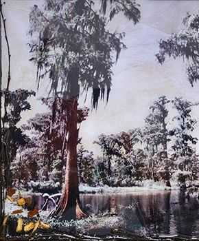 Raphael Mazzucco, ‘The Never-Ending Summer – Forbidden Swamp’, 2018, Print, Photography, Castle Fine Art, Numbered, Framed
