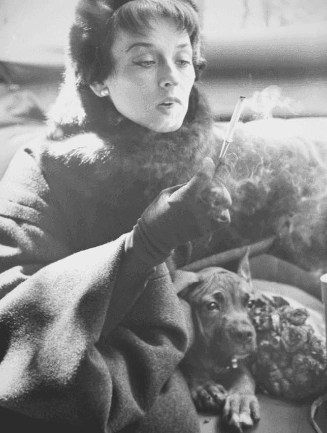 Richard Avedon, ‘Dorian Leigh in Dior Coat’, 1975, Print, Silver gelatin print, null, Numbered, Dated
