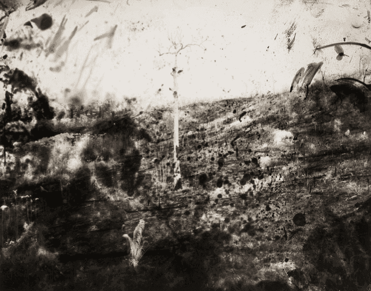 Richard Mosse, ‘Burnt Forest II, Amazonas’, 2019, Photography, Analogue silver gelatin print with gold toning, null, 