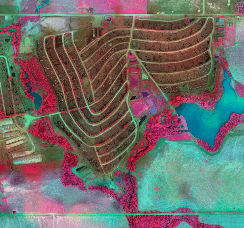 Richard Mosse, ‘Intensive Cattle Feedlot, Rondônia’, 2020, Photography, Archival pigment print, null, 