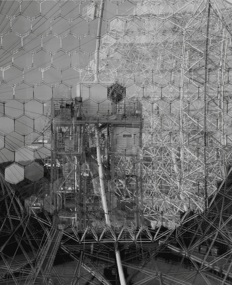Richard Mosse, ‘Skein’, 2024, Photography, Gelatin silver printing on fibre paper, null, 