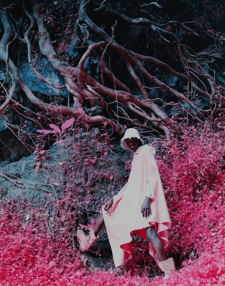 Richard Mosse, ‘Wanton’, 2024, Photography, Archival Pigmentprint on Hahnemühle Baryta Fiber Based Paper, null, 