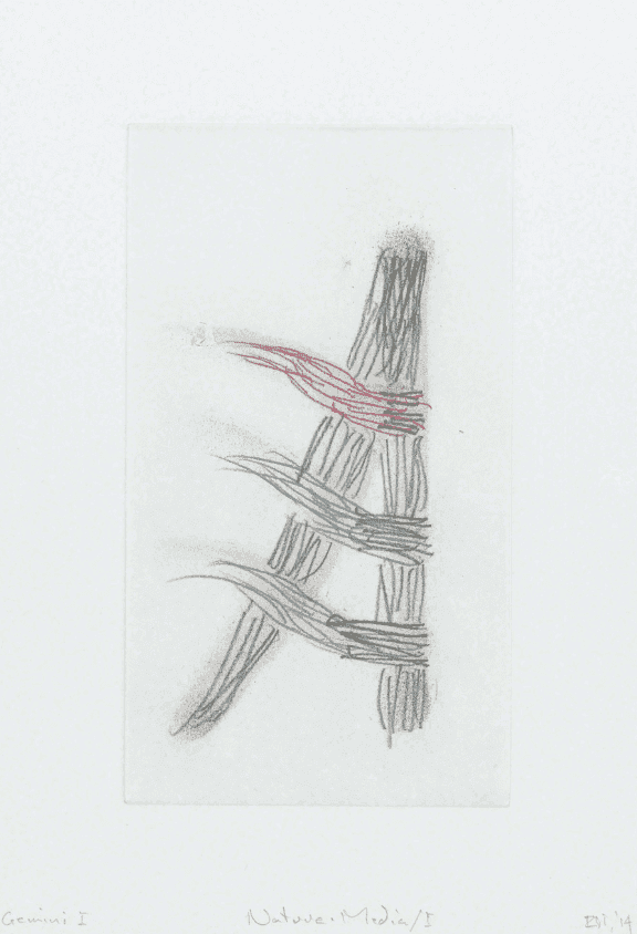 Richard Tuttle, ‘Nature-Media I’, 2014, Print, 4 color etching, Gemini G.E.L. LLC, 