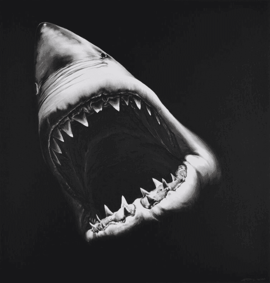 Robert Longo, ‘Big Shark’, 2010, Print, Pigment Print, null, Dated