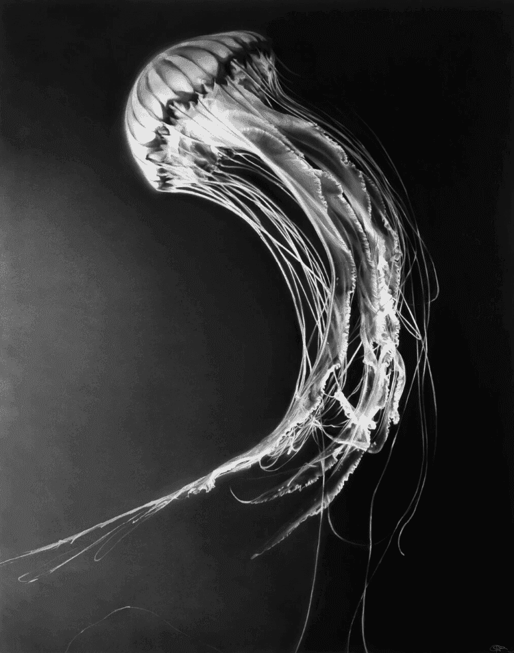 Robert Longo, ‘Rumi’, 2019, Print, Archival pigment print, null, Numbered