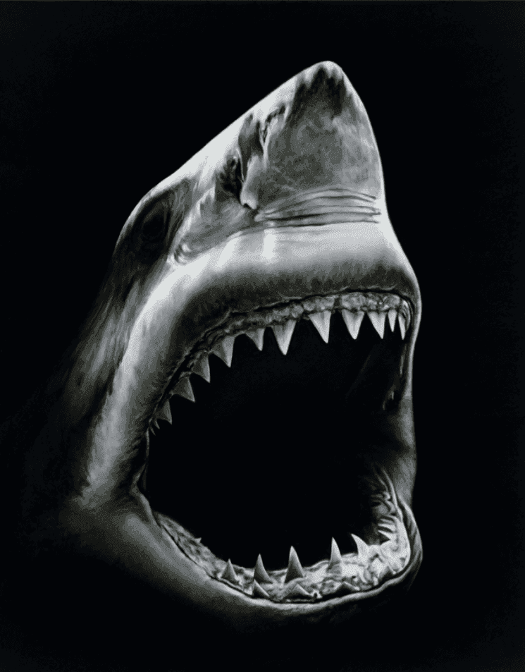Robert Longo, ‘Shark 5’, 2011, Print, Archival pigment print, null, Numbered