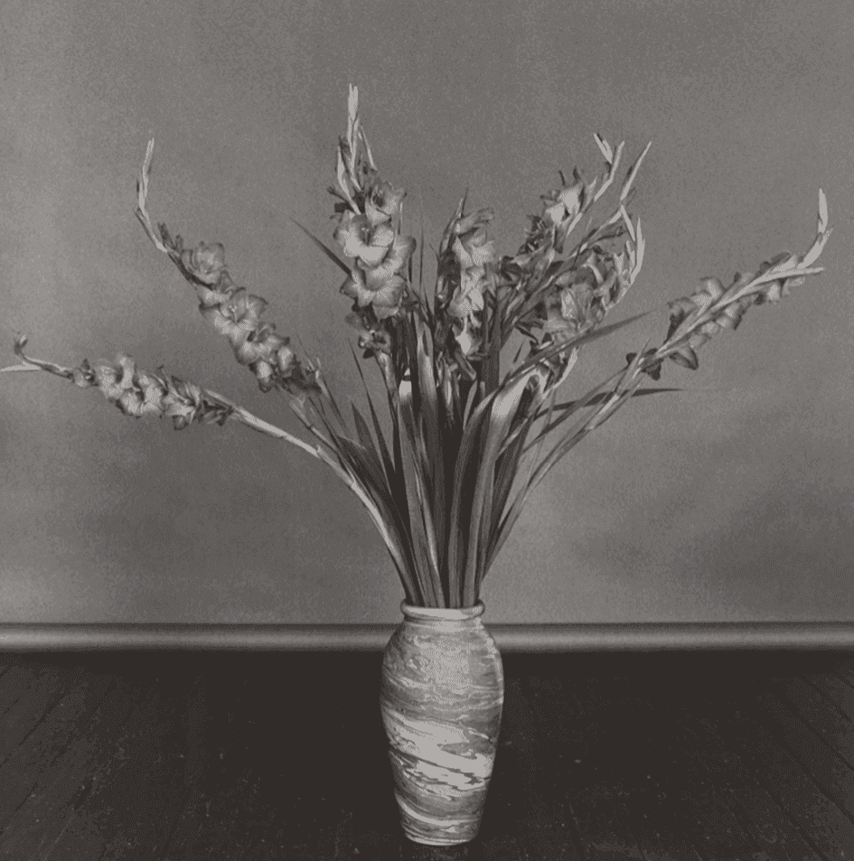 Robert Mapplethorpe, ‘Gladioli’, 1979, Print, Vintage gelatin silver print, null, 