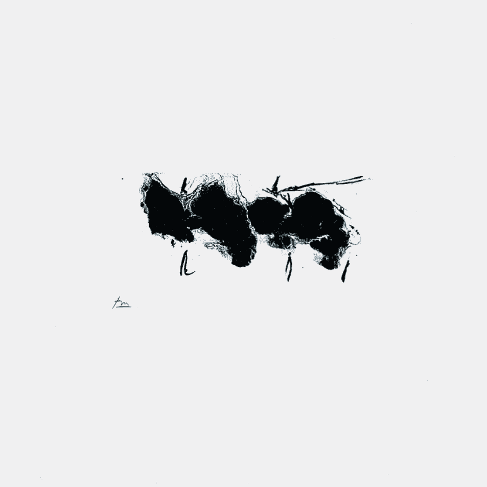 Robert Motherwell, ‘Automatism Elegy (State I White)’, 1980, Print, Lithograph on white Arches Cover paper, null, Numbered