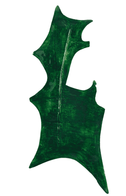 Rose Wylie, ‘Holly Leaf’, 2023, Print, Litograph on sommerseth paper, null, Numbered