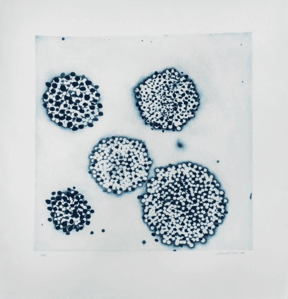Ross Bleckner, ‘Cluster’, 2002, Print, Etching and Aquatint on Paper, null, Numbered, Dated