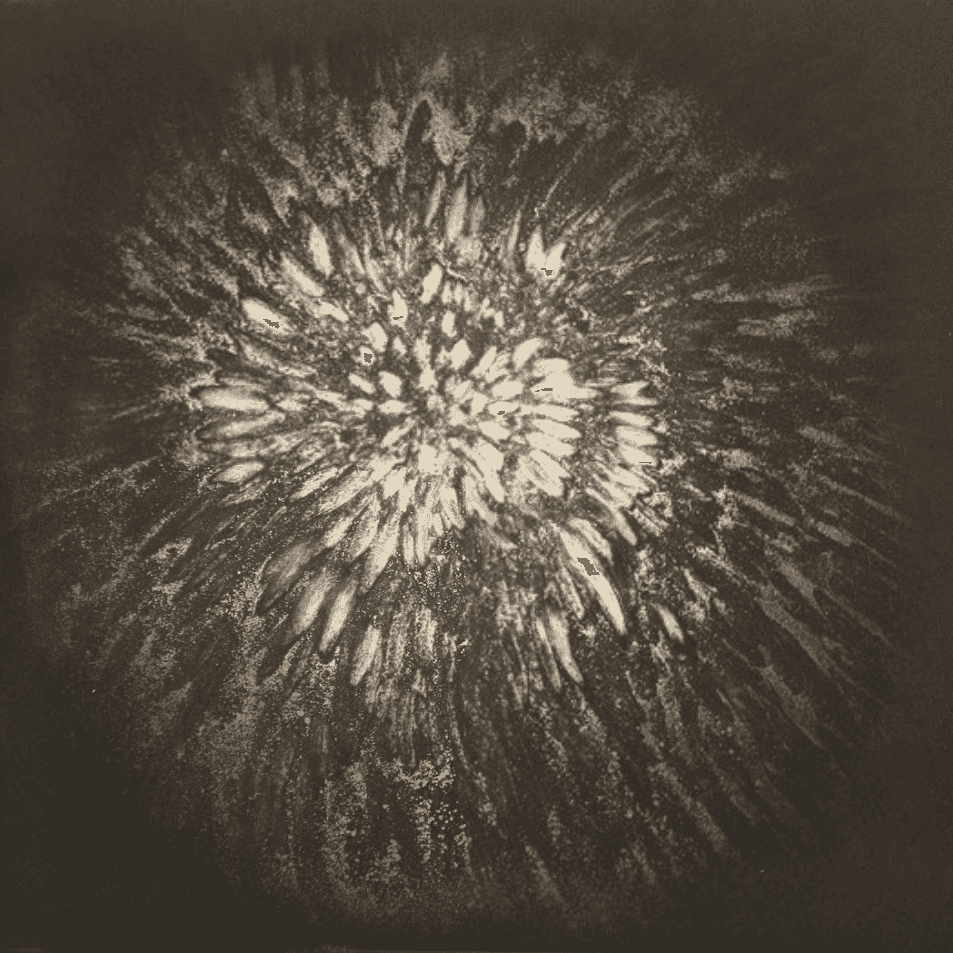 Ross Bleckner, ‘(On) Shadow’, 2010, Print, Etching, Paulson Bott Press, Numbered, Dated