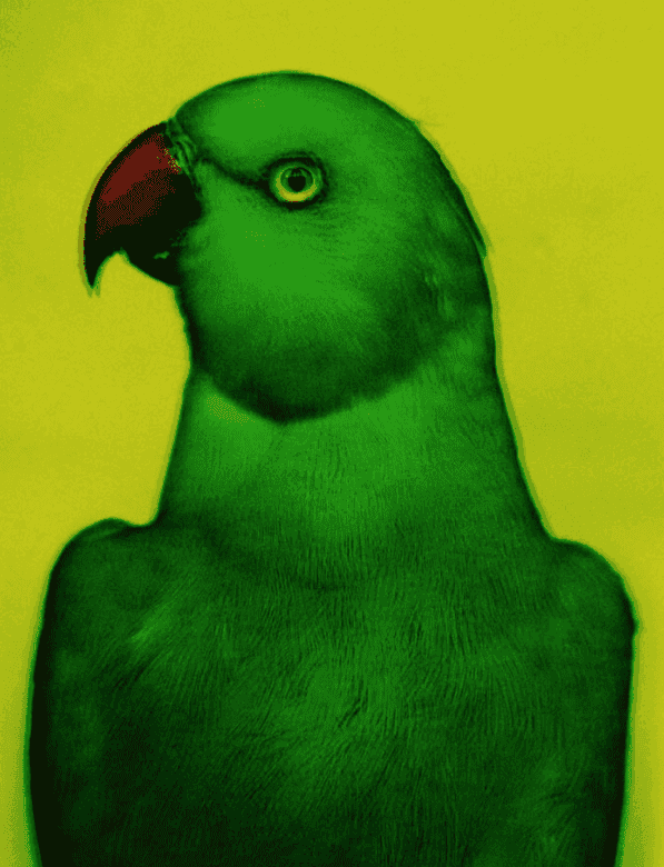 Sarah Moon, ‘L'oiseau II’, 2000, Print, Carbon Print., null, Numbered, Dated