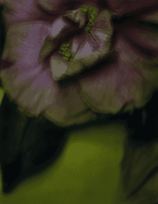 Sarah Moon, ‘La Camélia’, 2001, Print, Carbon Print., null, Numbered, Dated