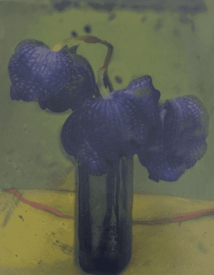 Sarah Moon, ‘Les Orchidees’, 2010, Print, Handmade pigment transfer print, null, Numbered, Dated