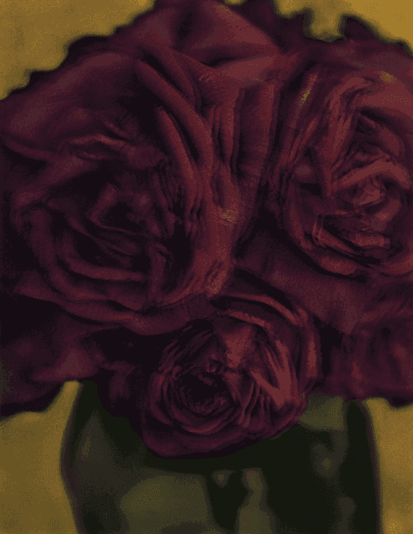 Sarah Moon, ‘Les Roses’, 1998, Print, Carbon Print., null, Numbered, Dated