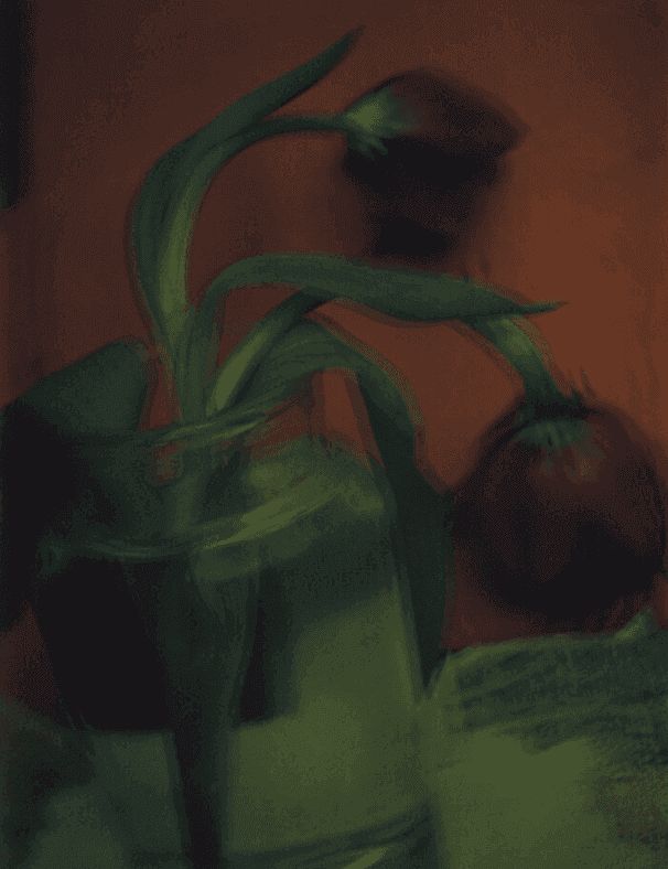 Sarah Moon, ‘Les Tulipes’, 2003, Print, Carbon Print., null, Numbered, Dated