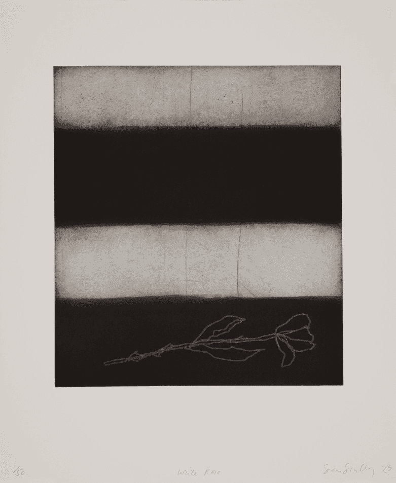 Sean Scully, ‘White Rose’, 2023, Print, Aquatint with sugarlift and spitbite, null, Numbered, Dated
