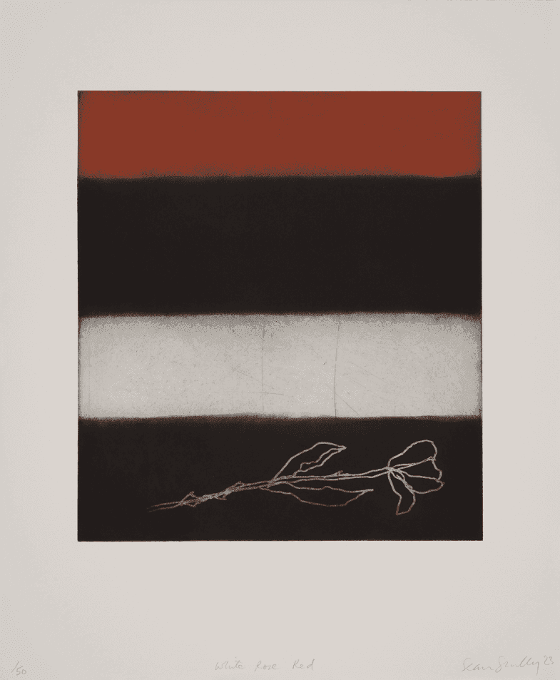 Sean Scully, ‘White Rose Red’, 2023, Print, Aquatint with sugarlift and spitbite, null, Numbered, Dated