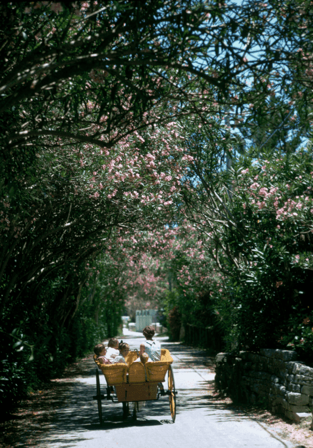 Slim Aarons, ‘Oleander Drive (Small)’, 1967, Photography, C-Type Print, null, Numbered