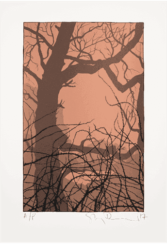 Stanley Donwood, ‘Aeratus Llyn’, 2017, Print, 8 layer screenprint on print on Fabriano Rosapina Bianco paper, Self-released, Numbered, Dated