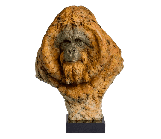 Steve Winterburn, ‘Wisdom of the Forest, Orangutan’, 2022, Sculpture, Bronze, Castle Fine Art, Numbered