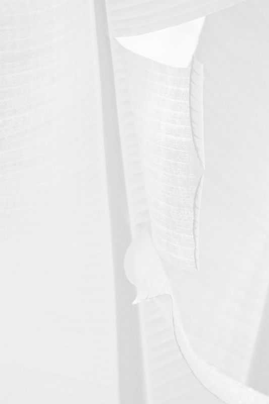 Stuart Möller, ‘White Leaf’, 2014, Print, Archival Pigment Print, null, Numbered