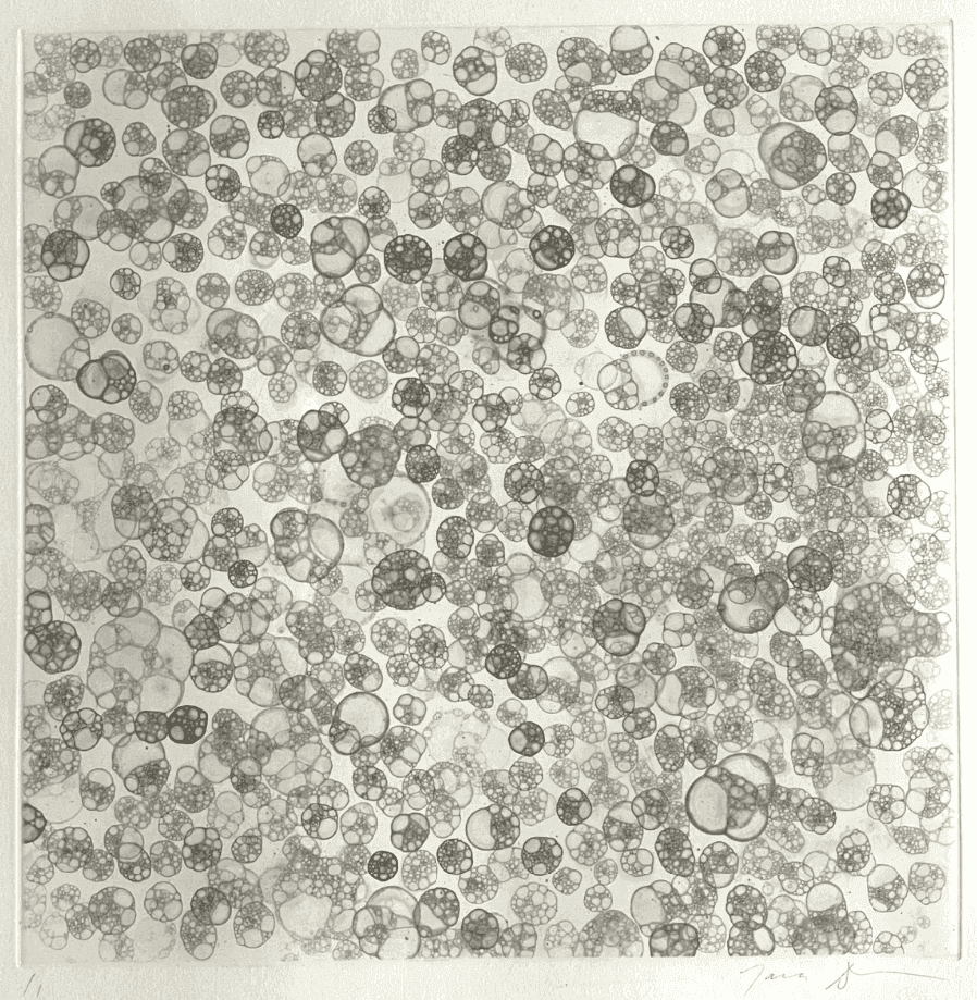 Tara Donovan, ‘Bubble Drawing’, 2004, Print, Monotype, null, Numbered