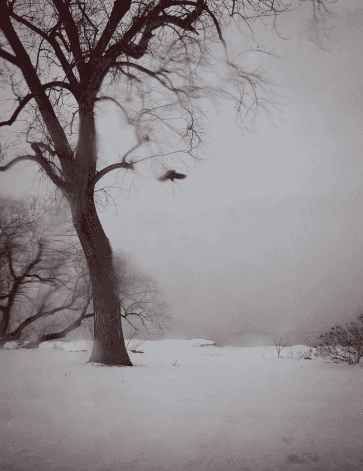 Todd Hido, ‘#10192’, 2011, Photography, Digital chromogenic print, null, Numbered, Dated
