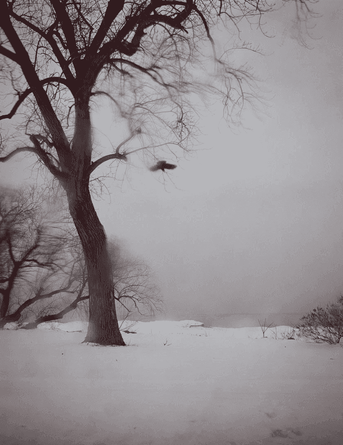 Todd Hido, ‘10192-50’, 2011, Photography, Archival Pigment Print., null, Dated