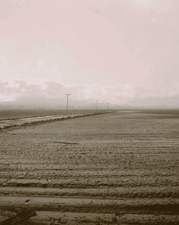 Todd Hido, ‘1609-b’, 1996, Photography, Archival pigment print, null, Numbered, Dated