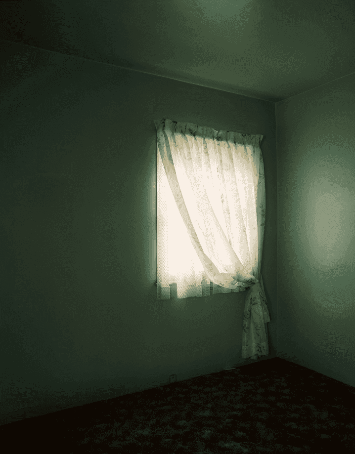 Todd Hido, ‘#1923-a’, 1996, Photography, Archival pigment print, null, Dated