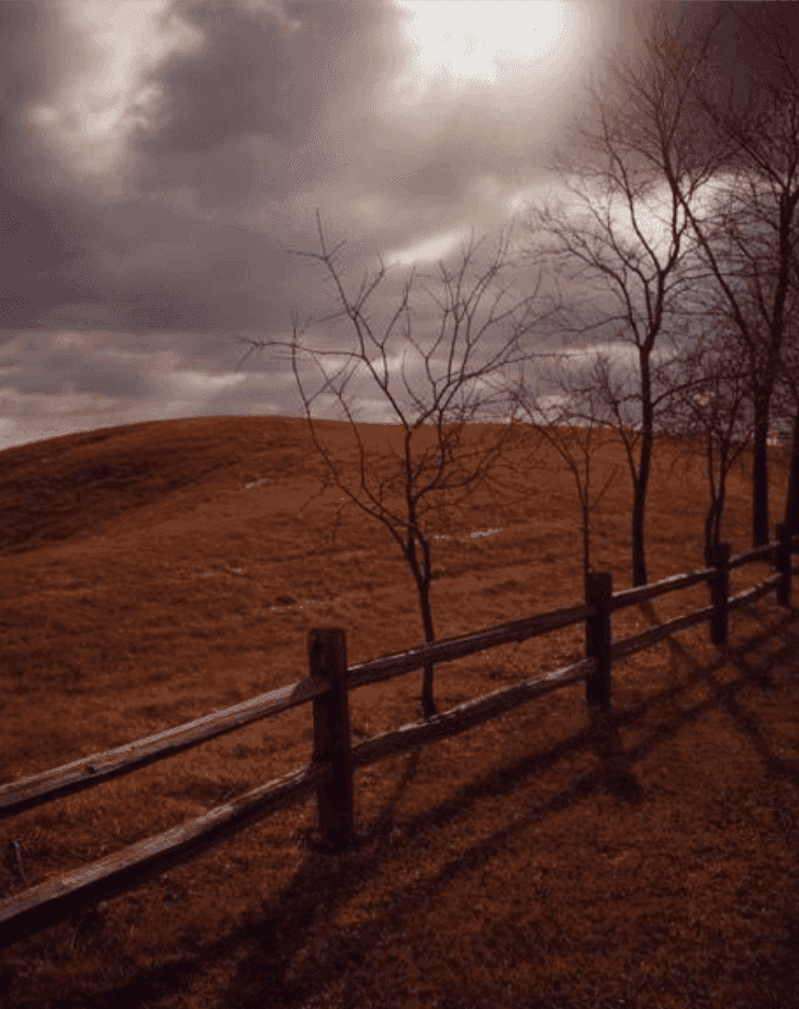 Todd Hido, ‘#3091’, 2002, Photography, Chromogenic print, null, Dated