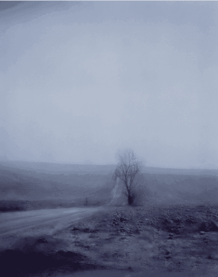 Todd Hido, ‘#5157’, 2006, Photography, Archival pigment print, null, Dated
