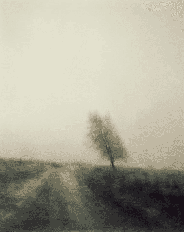 Todd Hido, ‘6405’, 2007, Photography, Archival Pigment Print., null, Numbered, Dated